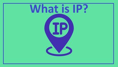 IP چیست