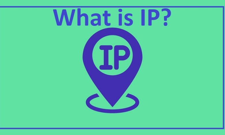 IP چیست
